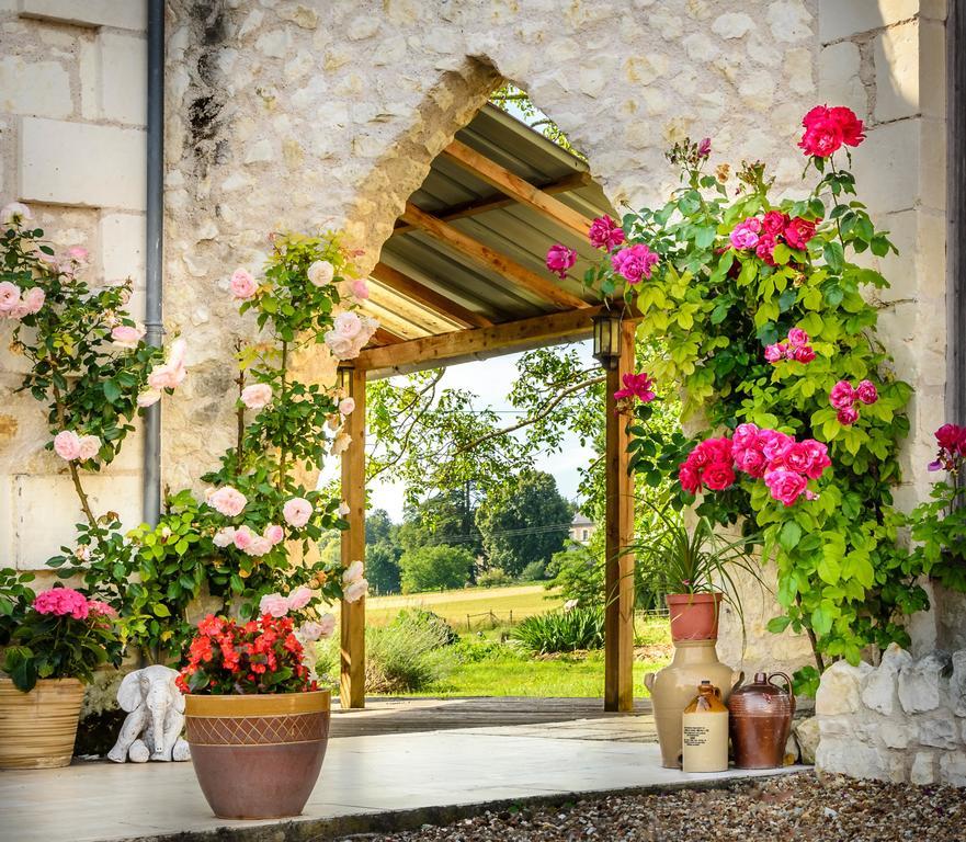Gites Arches De Muschamp Cussay エクステリア 写真